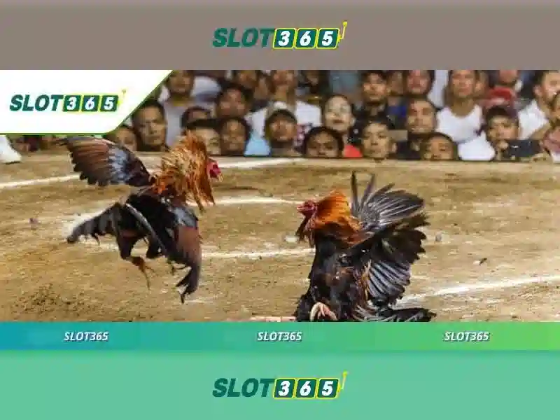 Slot365 – Khám phá nền tảng slot trực tuyến đáng tin cậy