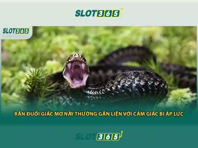 Slot365 - Trải nghiệm slot trực tuyến an toàn và đáng tin cậy
