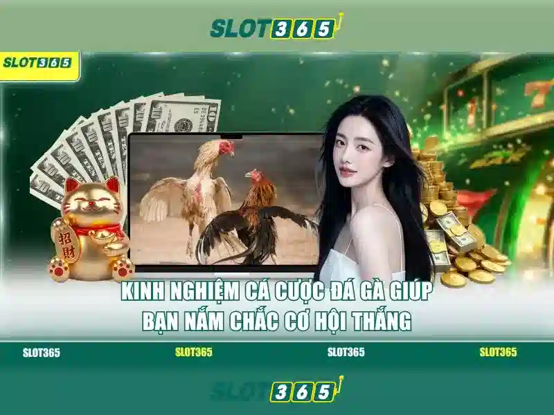 Slot365 là gì và cách hoạt động