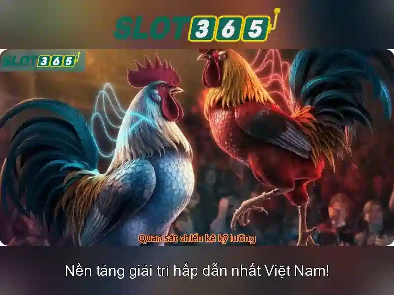 Slot365 là gì?