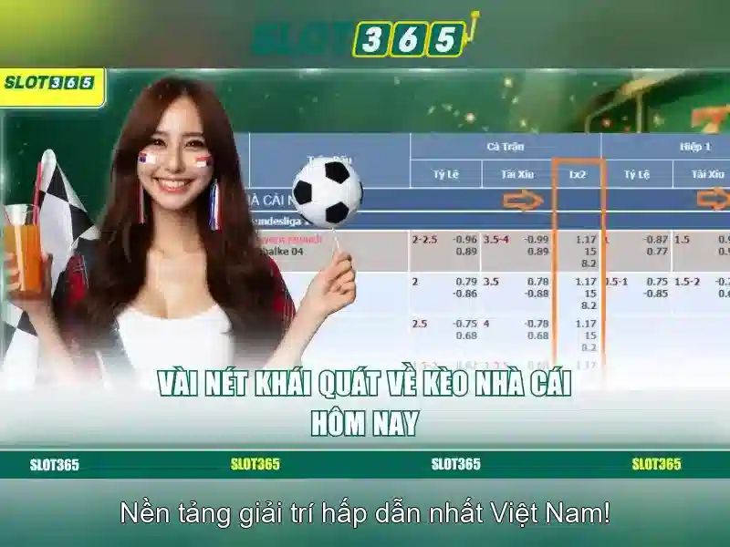 Tổng quan về Slot365