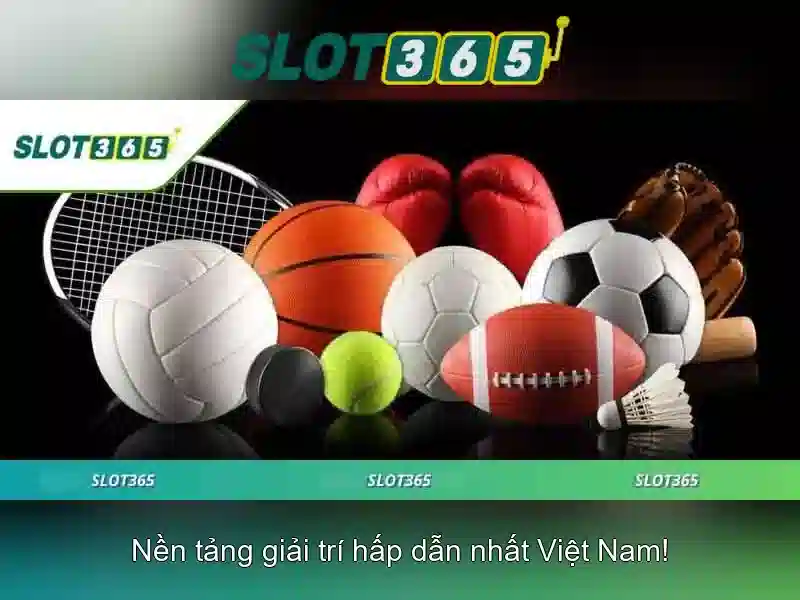 Khuyến mãi và thưởng