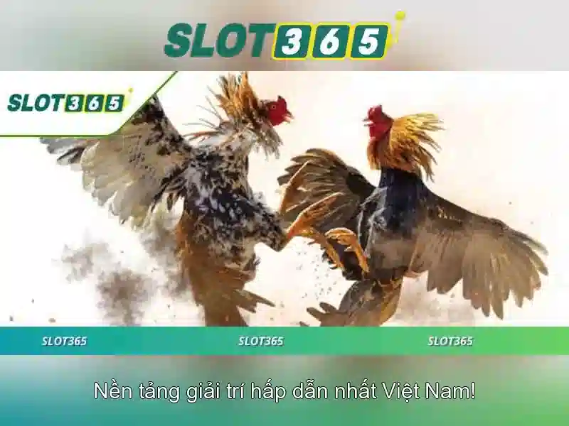 Slot365 - Nền tảng slot trực tuyến hàng đầu