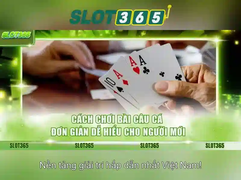 Slot365_Overview