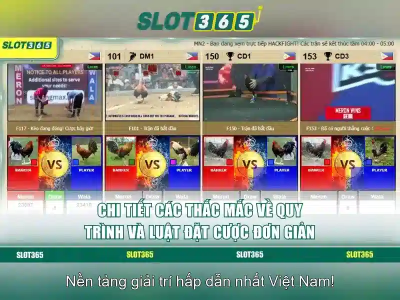 Khuyến mãi và chương trình thành viên