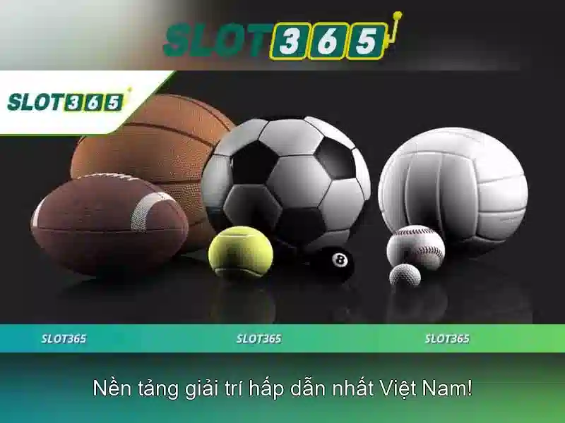 Khuyến mãi và chương trình thành viên