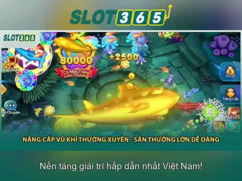 Hướng dẫn chơi và chiến lược cơ bản